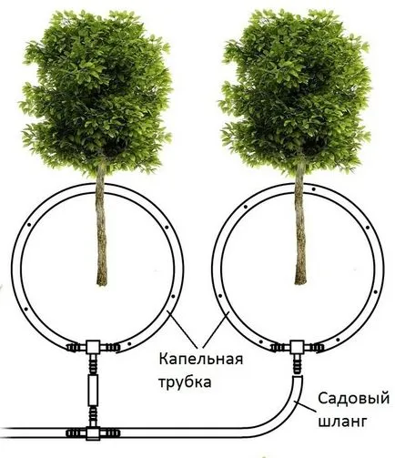 Csepegtető öntözés a kertben parcellákon