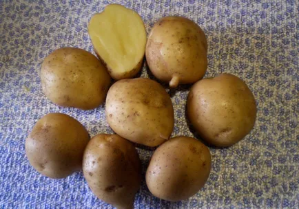 soiuri de cartofi descriere Karatop, comentarii, fotografii, productivitate