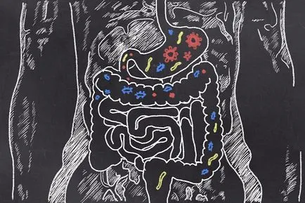 microbii intestinali ajuta la combaterea gripei