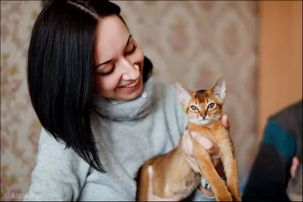 Club înțelepciune, pisici etiopiene - Petrovna
