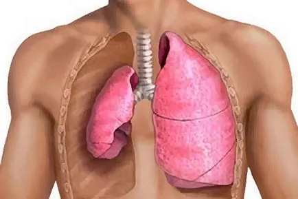 A szelep pneumothorax okok, diagnózis, kezelés