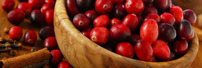 Cranberries a téli - a munkadarab formájában receptek kompótok, dzsemek videó