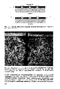 Свържи се с корозия - Chemical Наръчник 21