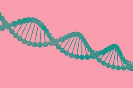 Корените на индивидуалните гени влияят на характера, интелекта и психическото здраве