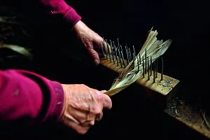 Кой плете като кора оцелява древния занаят - National Geographic България
