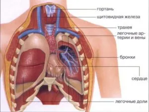 Ct на гръдния кош, който показва подготовката и провеждането