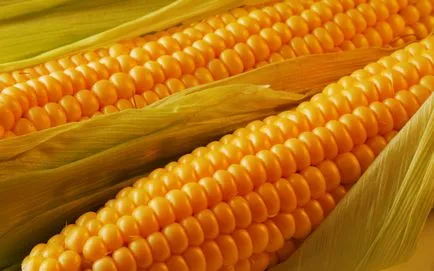 Kukoricaolaj előnyök