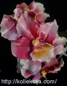 Orchid на лента сатен