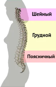 Tratamentul osteocondrozei în Kostanay