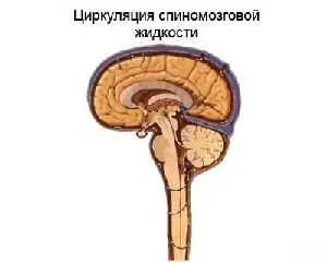 Полиневропатия лечение народни средства новини за здраве, медицина, здравословен начин на живот