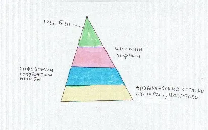 Curs - reproducere de hrană vie la domiciliu - articolele noastre, rezumate, rapoarte