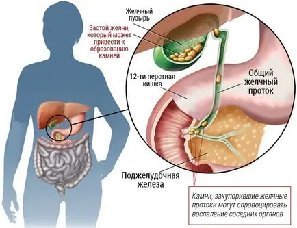 инструкции Lecithin за употреба на лекарството