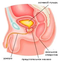 Mc Baikal