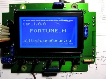 Metal Fortune м (Фортуна м) с ръцете си - в света на убежище - всичко за метални детектори