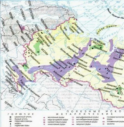 Resursele minerale din România