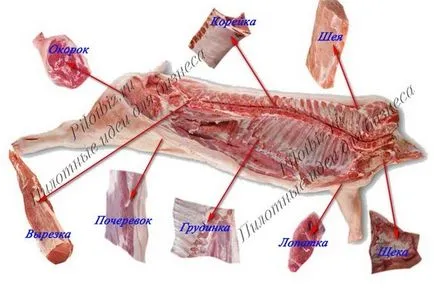 Butcher - ce echipament este necesar, un caz de afaceri