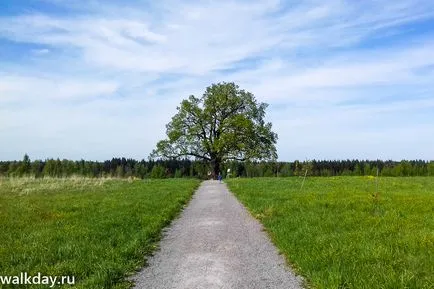 На брега на езерото Ладога, walkday