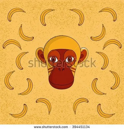 Saját vizsga Shutterstock