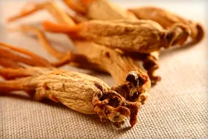 Ginseng tinktúra előnyei és hátrányai, alkalmazási javallatok, utasítások, receptek és ellenjavallatok