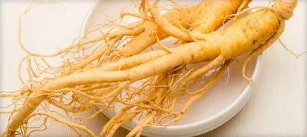 Ginseng tinktúra előnyei és hátrányai, alkalmazási javallatok, utasítások, receptek és ellenjavallatok