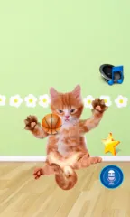 Имоти говорят котка APK 1