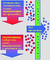 Fordított ozmózis kár vagy haszon, minden a vízben