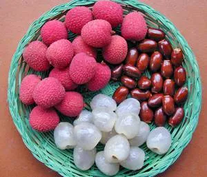 La folosirea și abuzul de fructe litchi