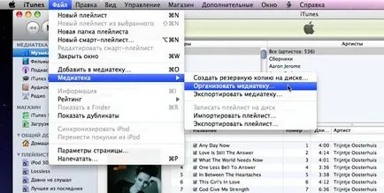 Organizarea conținutului în itunes