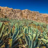 Gramvousa Island - útmutató a sziget Kréta, Görögország Heraklion - py