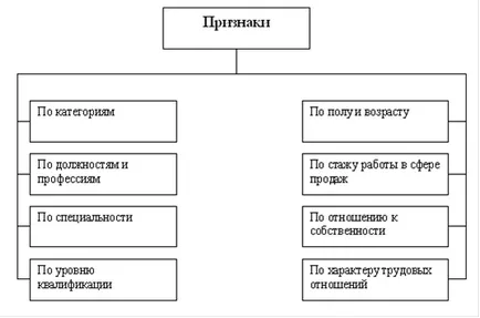 Jellemzői a személyzeti menedzsment rendszere kereskedelmi vállalkozás