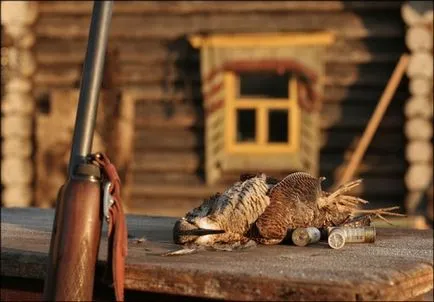 Woodcock de vânătoare în primăvara și toamna pe tija, o momeală, cu câini, pe murdăria