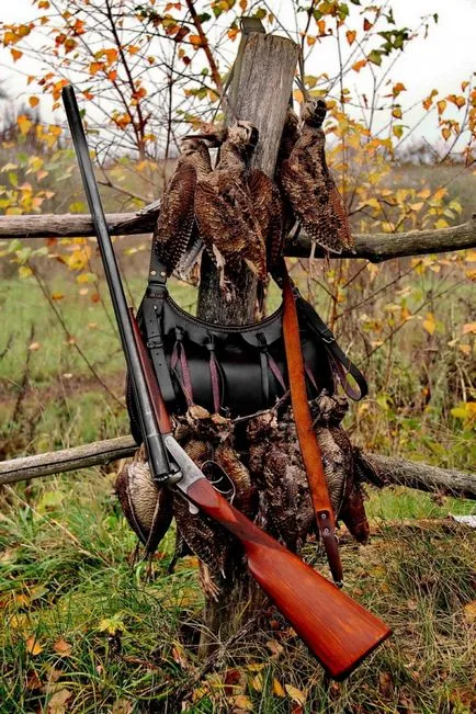 Woodcock de vânătoare în primăvara și toamna pe tija, o momeală, cu câini, pe murdăria