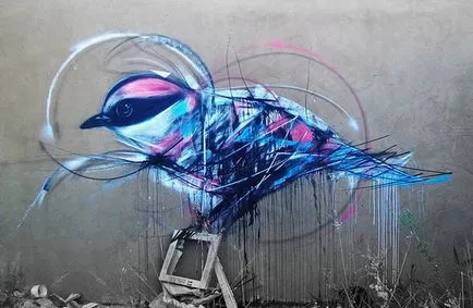 Bird street art pene artist de graffiti stradă l7m