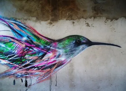 Bird street art pene artist de graffiti stradă l7m