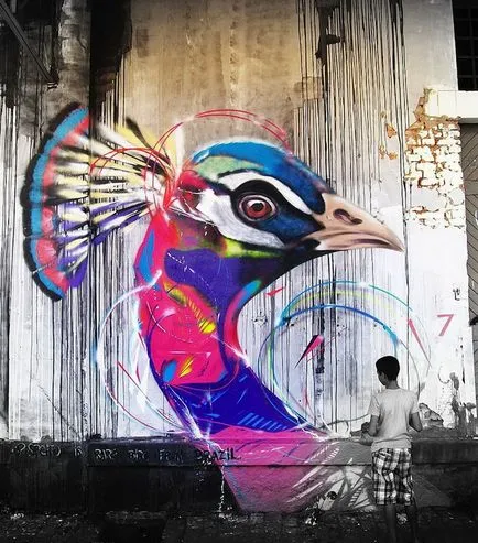 Bird street art pene artist de graffiti stradă l7m