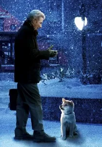 fajta kutya a film Hachiko a leghűségesebb barátja