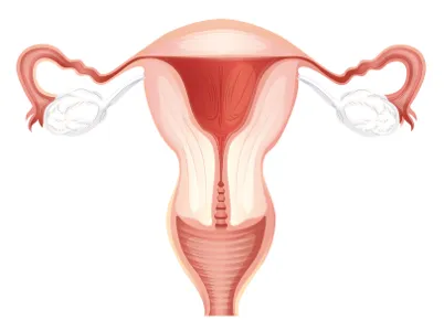 Следоперативна лечение на шийката на матката, вагинални, премахване шевове предимства, характеристики,