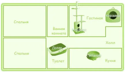 поведение коте и комуникация