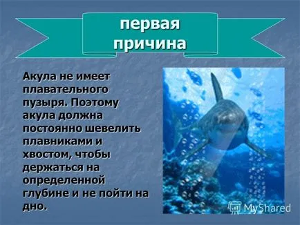 Prezentarea pe tema tema rechinului - o întrebare problemă rechin de ce mereu în mișcare Boyarshinov
