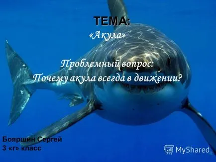 Prezentarea pe tema tema rechinului - o întrebare problemă rechin de ce mereu în mișcare Boyarshinov