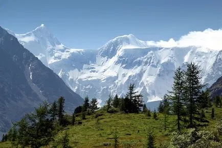 Natura Munților Altai