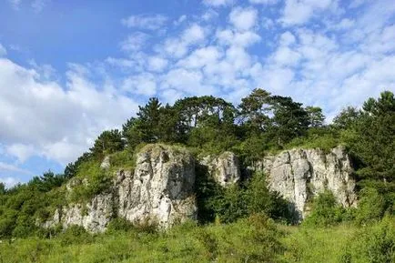 Rezervația naturală Medobory - rezerve și parcuri naționale ale lumii