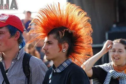 hairstyle punk