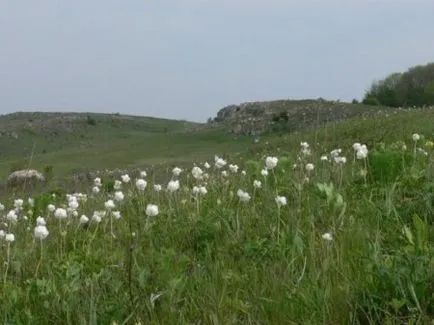 Rezervația naturală Medobory - rezerve și parcuri naționale ale lumii