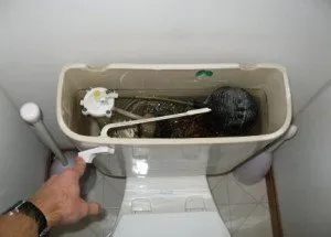 Reparatii WC cisterne pe cont propriu