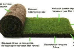 Turf подобрение собствените си ръце