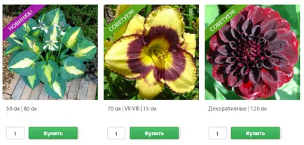 Kertészkedés gyűjtemény () akció, 75% -os szeptemberi 2017 látni! Picodi Belorusszia