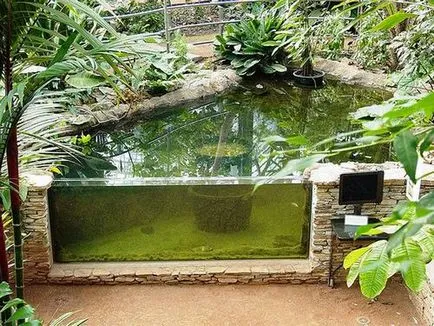 Garden Aquarium - mai ales de design