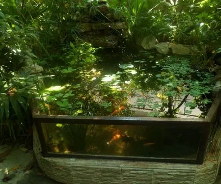 Garden Aquarium - mai ales de design