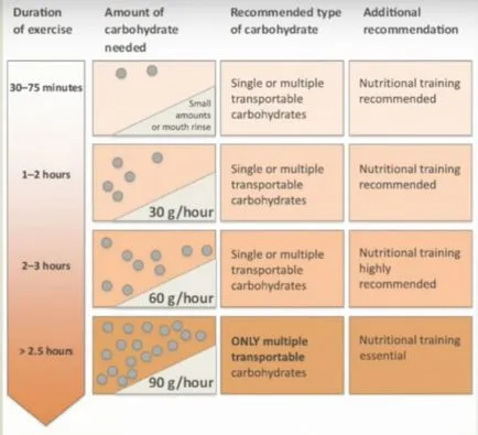 Nutritie pentru rezistenta la fel de mult si cand sa mananci carbohidrati - zozhnik